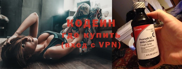молекула духа Семилуки
