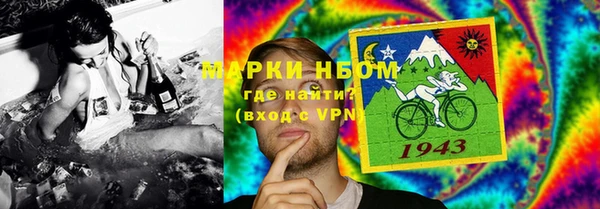 молекула духа Семилуки
