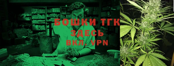молекула духа Семилуки