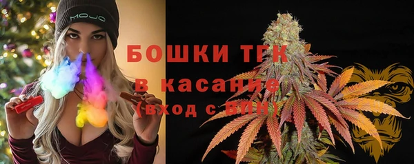 молекула духа Семилуки