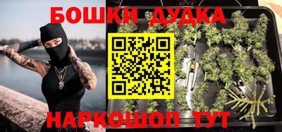 бошки Гатчина