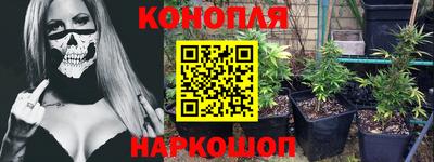 бошки Гатчина