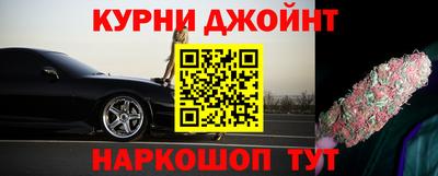 бошки Гатчина