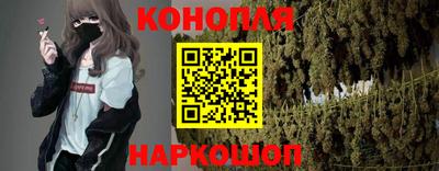 бошки Гатчина
