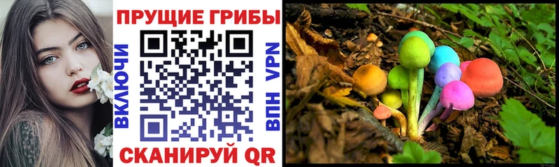 Галлюциногенные грибы Psilocybe  Тольятти 