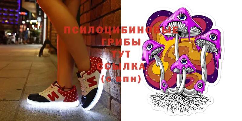 Псилоцибиновые грибы Cubensis  Тольятти 