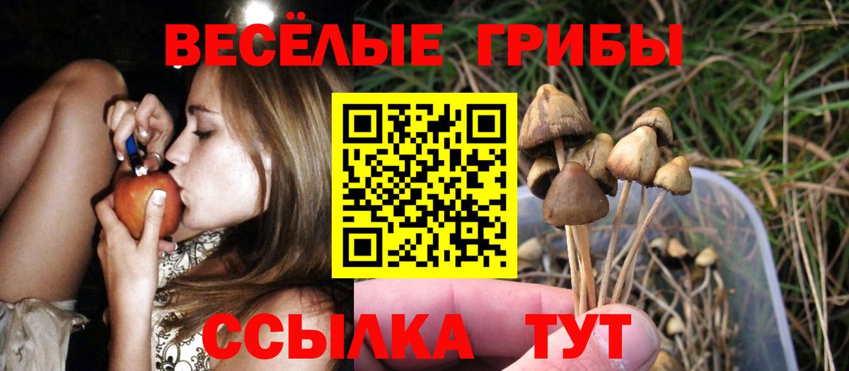 Галлюциногенные грибы прущие грибы  Вход с VPN  Тольятти 