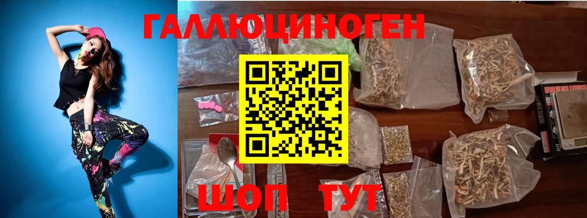 Галлюциногенные грибы Psilocybe Тольятти