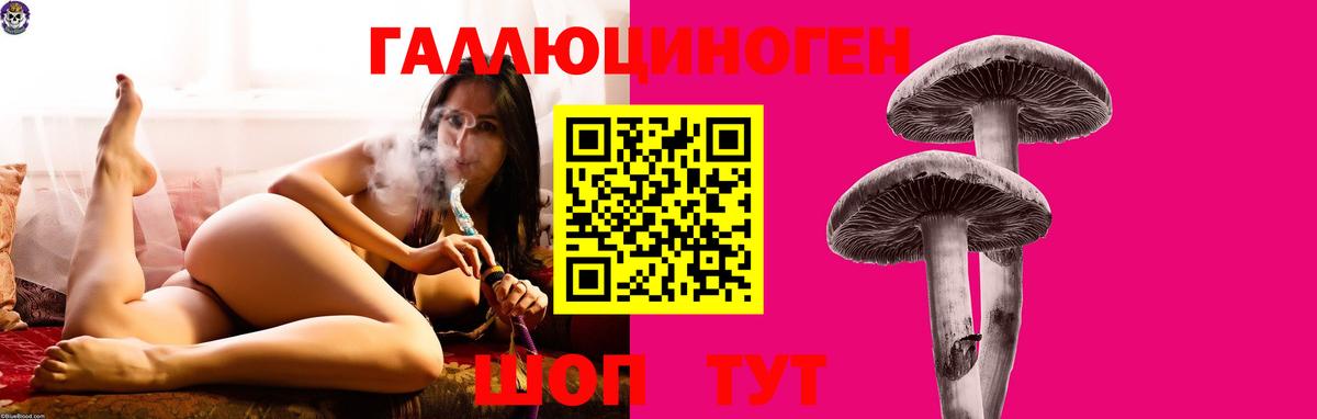 Галлюциногенные грибы мицелий  Тольятти  Галлюциногенные грибы прущие грибы 